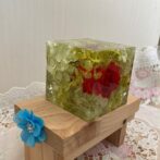 フラワーアートリウムXmas