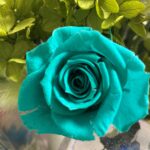 薔薇 | M&R happy プリザーブドフラワーブルー